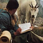 consejos del zodiaco