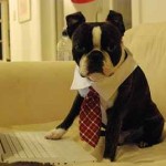 ¿Capricornio está obsesionado con su trabajo?