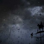 Los signos sorprendidos por un aguacero